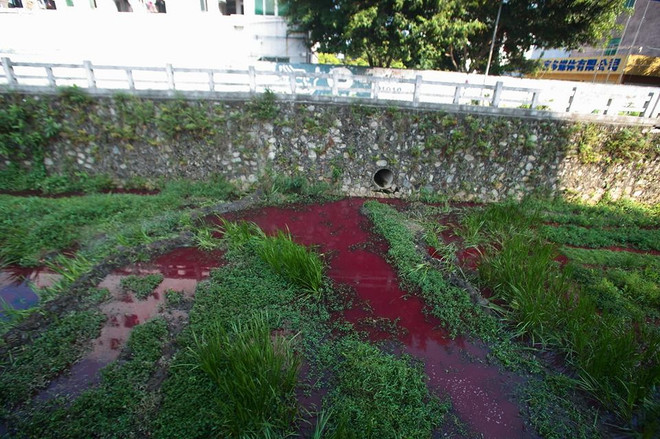 [Photo] Thêm một “dòng sông máu” xuất hiện tại Trung Quốc ảnh 4