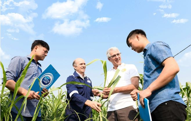 FrieslandCampina lọt top 3 sáng kiến tiếp cận dinh dưỡng toàn cầu ảnh 5