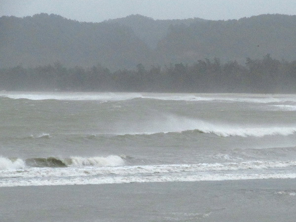 Quảng Ngãi: Nỗ lực tìm kiếm 4 ngư dân rơi xuống biển mất tích ảnh 1