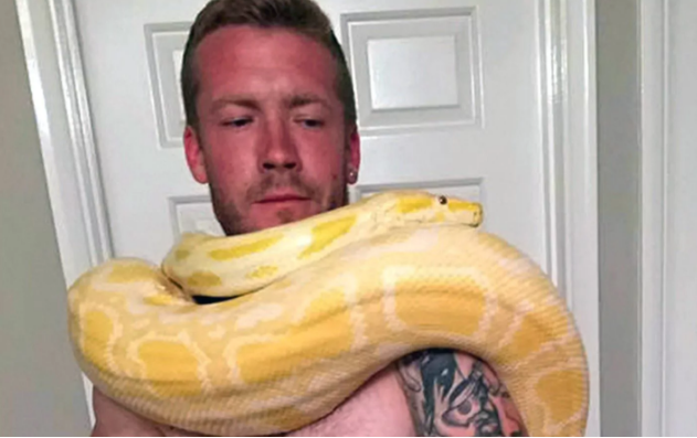 Người đàn ông chết oan ức vì bị trăn cưng siết chặt trong lúc ngủ ảnh 1