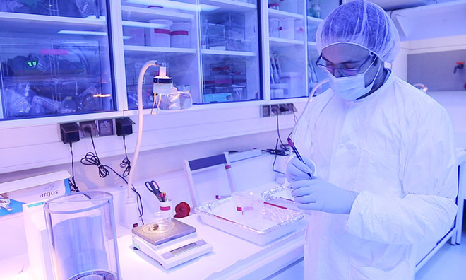 Việt Nam-IAEA hợp tác ứng dụng công nghệ hạt nhân vì mục đích hòa bình ảnh 1