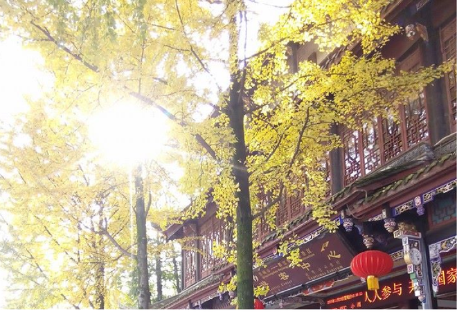 Ấn tượng vẻ đẹp tự nhiên và di sản văn hóa đặc sắc ở Tứ Xuyên ảnh 2