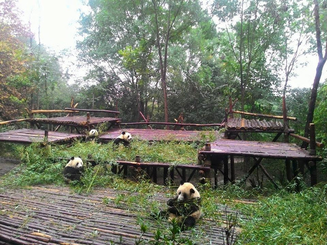 Ấn tượng vẻ đẹp tự nhiên và di sản văn hóa đặc sắc ở Tứ Xuyên ảnh 5