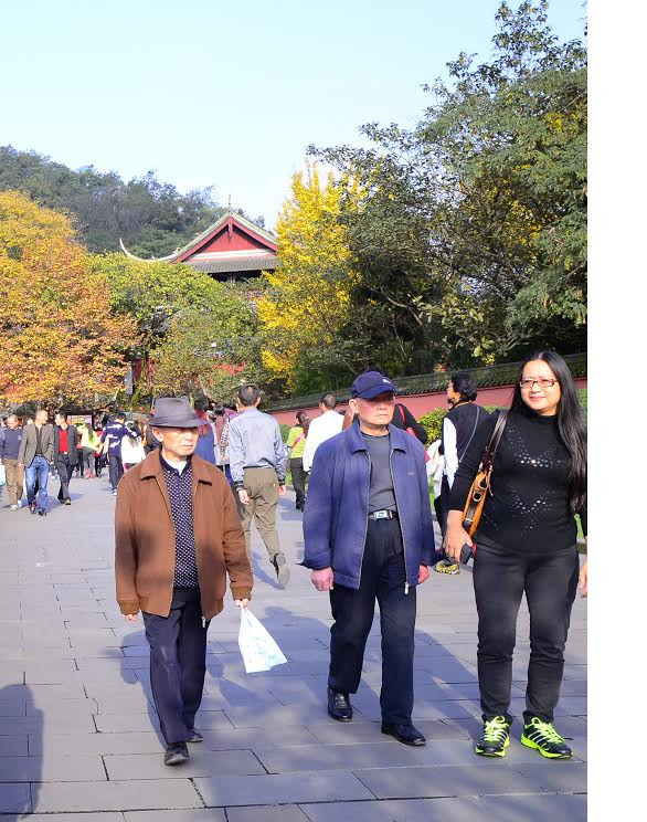 Ấn tượng vẻ đẹp tự nhiên và di sản văn hóa đặc sắc ở Tứ Xuyên ảnh 4