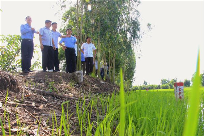 Lãnh đạo tỉnh Hậu Giang kiểm tra tình hình giải phóng mặt bằng Dự án cao tốc ngày 7/5. (Ảnh: Duy Khương/TTXVN) Dự án đường bộ cao tốc Bắc-Nam đoạn Cần Thơ-Cà Mau vẫn chậm ảnh 1