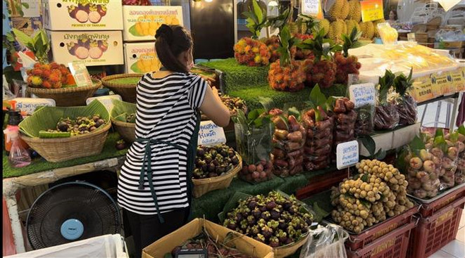 Tiểu thương Thái Lan bày bán trái cây tại chợ đầu mối ở Thủ đô Bangkok, Thái Lan. (Ảnh: Huy Tiến/TTXVN) Kim ngạch thương mại giữa Trung Quốc và vùng Mekong tăng trưởng mạnh ảnh 1