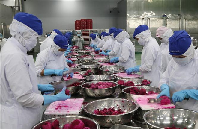 Long An đặt mục tiêu PCI ở nhóm chất lượng điều hành kinh tế “rất tốt" ảnh 2