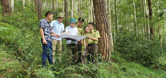 Đòn bẩy phát triển kinh tế-xã hội ở vùng trung du, miền núi Bắc Bộ ảnh 1