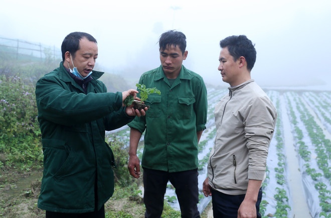 Đòn bẩy phát triển kinh tế-xã hội ở vùng trung du, miền núi Bắc Bộ ảnh 1