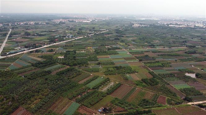 Công bố kết quả thống kê diện tích đất đai của cả nước năm 2022 ảnh 1