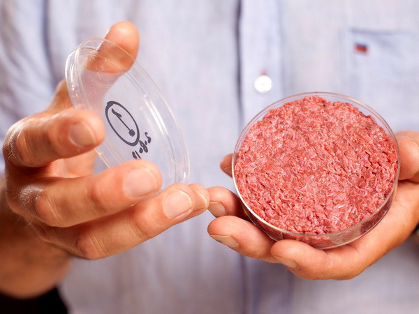 Ra mắt sách hướng dẫn chế biến thực phẩm nhân tạo đầu tiên ảnh 1