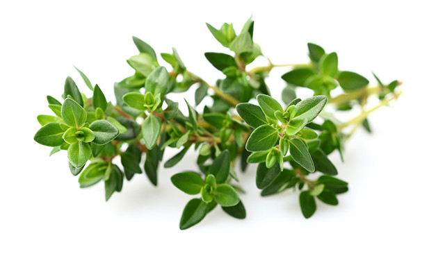 Bảy kỹ năng cần thiết giúp bạn trở thành "vua đầu bếp BBQ" ảnh 6