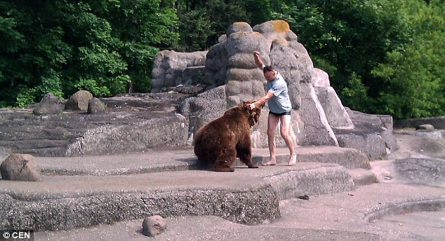 Người đàn ông bất ngờ liều mạng lao vào chuồng và đánh gấu ảnh 1