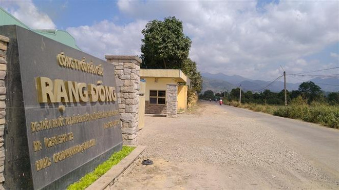 Công ty giấy Rạng Đông ngang nhiên xả thải trực tiếp ra môi trường ảnh 1