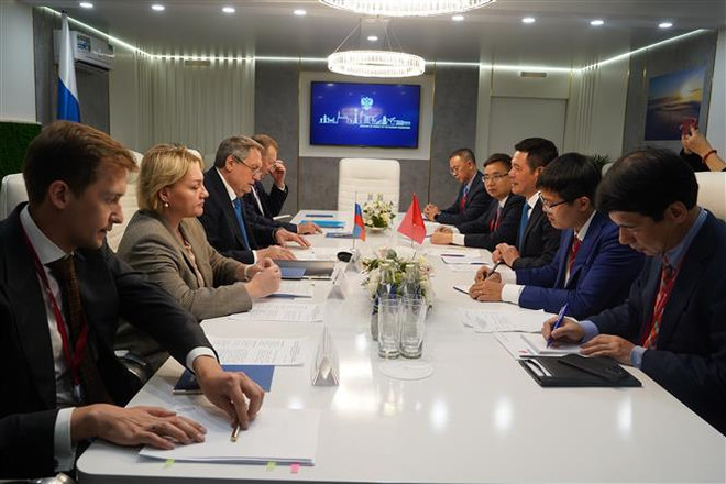 Việt Nam-Liên bang Nga tăng cường hợp tác trong lĩnh vực năng lượng ảnh 1