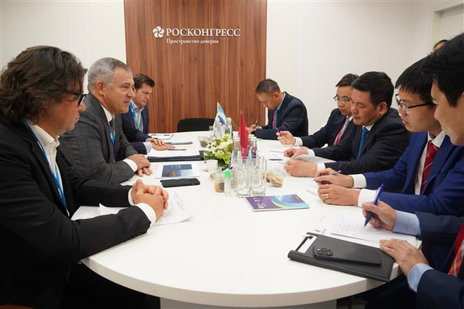 Việt Nam-Liên bang Nga tăng cường hợp tác trong lĩnh vực năng lượng ảnh 3