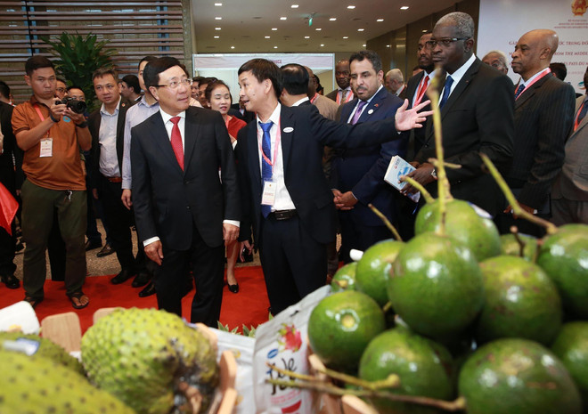 Đưa quan hệ Việt Nam và các nước Trung Đông-châu Phi phát triển ảnh 2