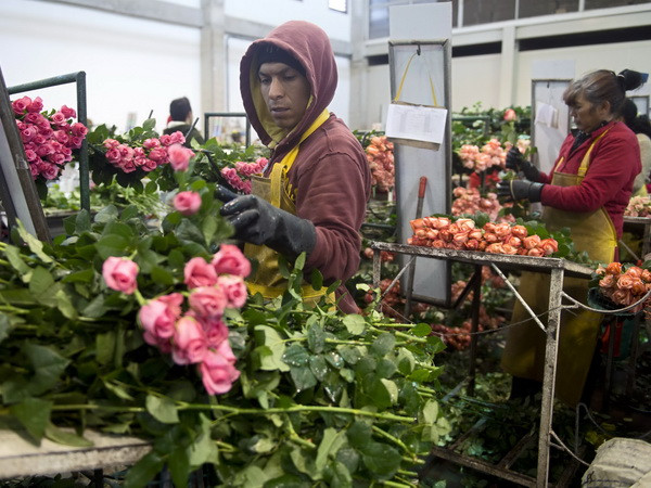 Chính phủ Colombia đề xuất kế hoạch chia đất cho người nghèo ảnh 1