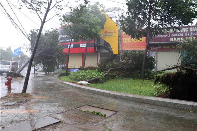 Cây xanh gãy đổ tại góc đường Lê Lợi-Lê Hồng Phong, thành phố Vũng Tàu. (Ảnh: Đoàn Mạnh Dương/TTXVN) Bà Rịa-Vũng Tàu nỗ lực ổn định cuộc sống người dân sau mưa bão ảnh 1