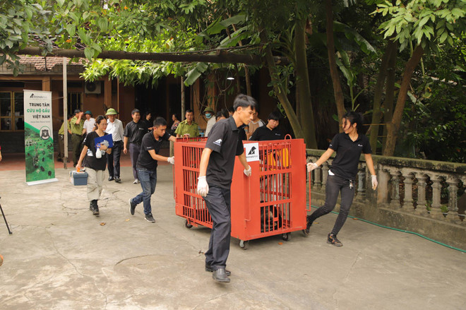 Cứu hộ cá thể gấu cuối cùng tại Hải Dương về ‘ngôi nhà gấu’ Việt Nam ảnh 5