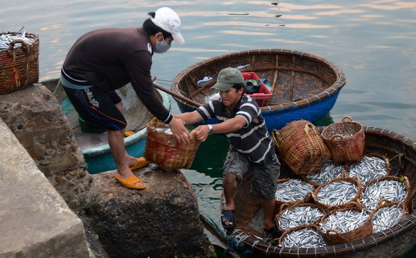 Ngư dân huyện đảo Lý Sơn. (Ảnh: Thanh Long/TTXVN) Tuổi trẻ khối doanh nghiệp hướng về biển đảo quê hương ảnh 1