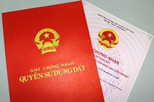 Phạt tù 12 năm đối tượng nữ lừa đảo chuyển nhượng trái phép nhà đất ảnh 1