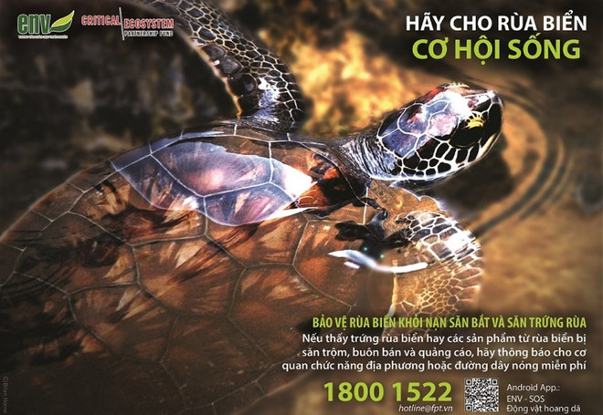 Người dân tự nguyện chuyển giao cá thể vích quý hiếm ảnh 3