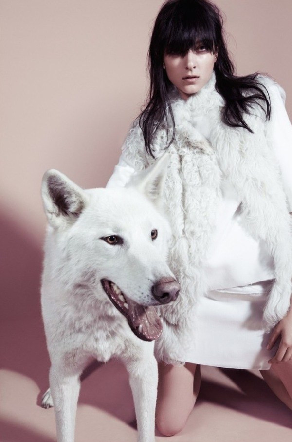 Chụp ảnh với... động vật - trào lưu mới trong giới thời trang ảnh 2