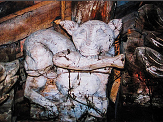 Hình tượng con mèo trong đời sống và văn hóa người Việt Nam ảnh 4