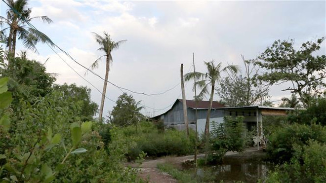 Cà Mau yêu cầu rà soát lại kết luận về sai phạm trong sử dụng đất ảnh 1