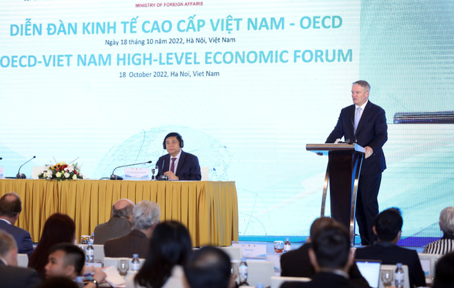 OECD: Tăng cường cam kết với Việt Nam là một ưu tiên hàng đầu ảnh 2