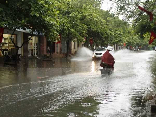 Sạt lở tại các tuyến đê của Hà Nội đang diễn biến phức tạp ảnh 1