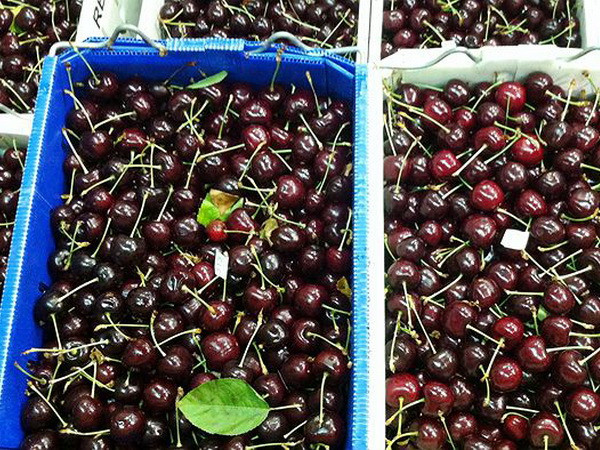 Australia tăng quản lý an toàn sinh học cherry mở rộng xuất khẩu ảnh 1