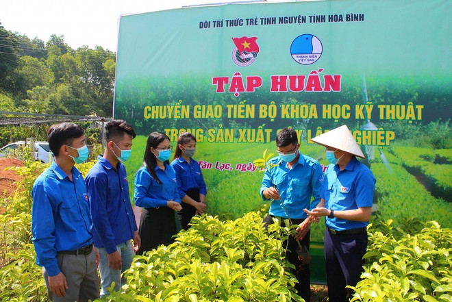 Hòa Bình đẩy mạnh chuyển đổi số, đổi mới sáng tạo phát triển KT-XH ảnh 2