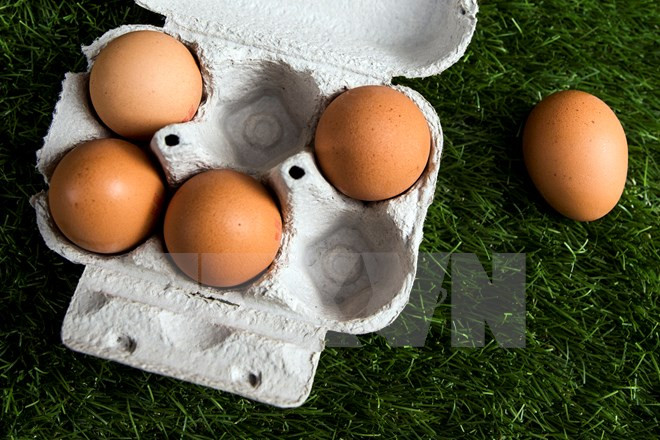 Sự kiện quốc tế 7-13/8: Căng thẳng "khẩu chiến" Mỹ-Triều Tiên ảnh 3