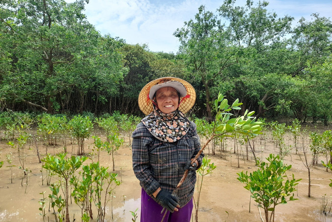 giam rui ro thien tai.jpg