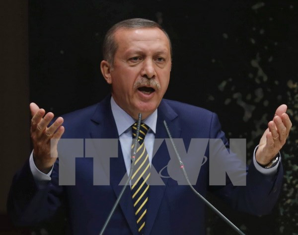 Thổ Nhĩ Kỳ bắt hàng chục cảnh sát tình nghi nghe lén điện thoại ảnh 1