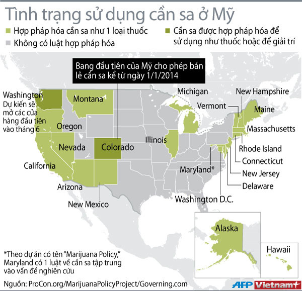 Hình ảnh đồ họa về tình trạng sử dụng cần sa ở Mỹ ảnh 1