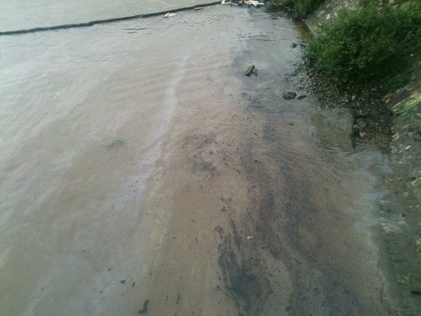 Quảng Trị thu gom, làm sạch bờ biển bị ảnh hưởng dầu tràn ảnh 1