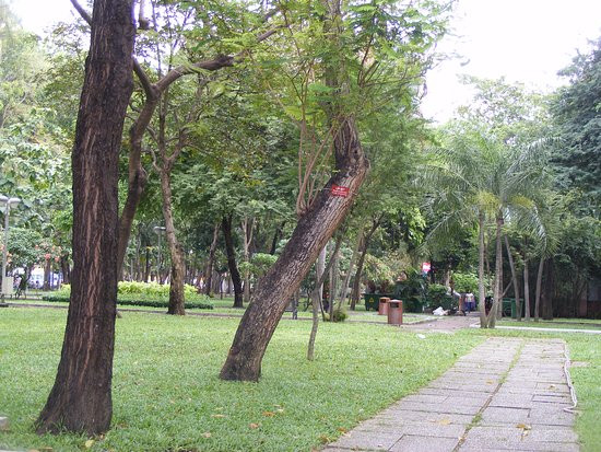 Thành phố Hồ Chí Minh kiên quyết lấy lại mặt bằng Công viên 23/9 ảnh 1