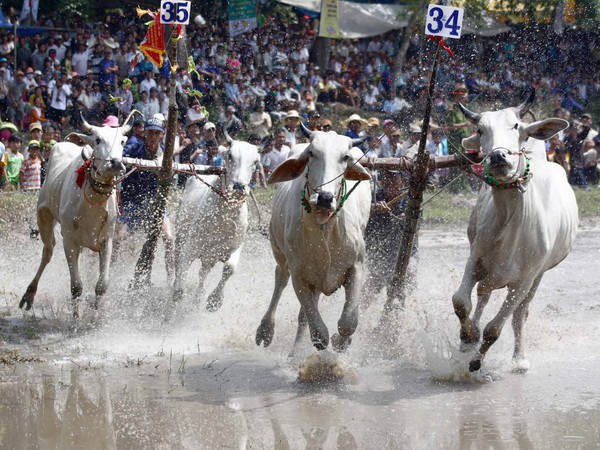 Thăm, chúc mừng nhân dịp lễ Sen Dolta của đồng bào Khmer ảnh 1