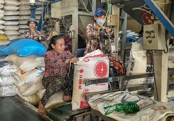 Trợ lực cho doanh nghiệp phát triển nhờ các chính sách thuế ảnh 2