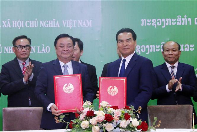 Thủ tướng Lào đánh giá cao sự hỗ trợ của Việt Nam về nông nghiệp ảnh 2