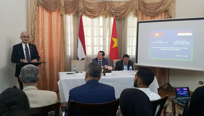 Việt Nam và Ai Cập hợp tác phát triển 'ngành công nghiệp không khói' ảnh 2