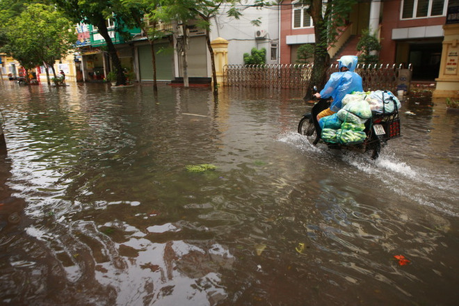 Bắc Bộ hứng chịu 1-2 cơn bão và các đợt mưa lớn trong tháng 9 ảnh 1