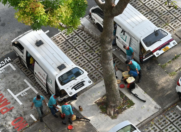 Singapore xác nhận trường hợp phụ nữ mang thai đầu tiên nhiễm Zika ảnh 1