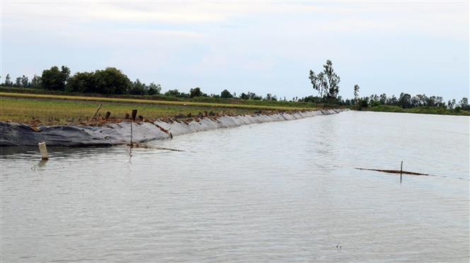 Chìm sà lan chở cát trên sông Hậu, hai mẹ con tử vong ảnh 1
