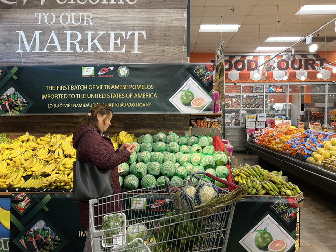 Lãnh đạo doanh nghiệp Việt Nam tìm kiếm cơ hội hợp tác tại Mỹ ảnh 1