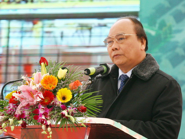 Khởi công dây chuyền sản xuất gỗ 120.000 m3/năm ảnh 1