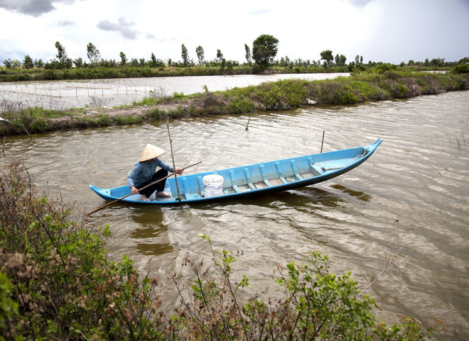Nông nghiệp xanh: Nắm bắt dòng chảy mới của thị trường ảnh 2